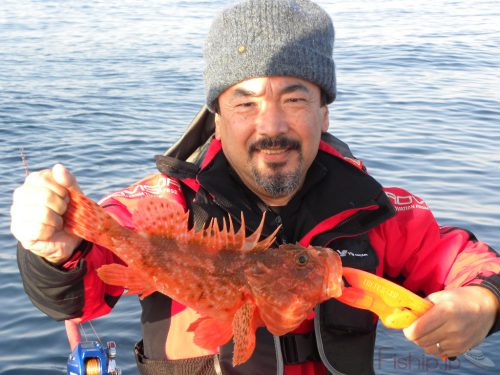 三重鳥羽の榎村様ら4名で鬼カサゴ狙い 三重県のオニカサゴの船釣り情報