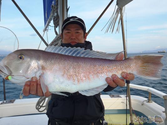 一つテンヤにて大型白アマダイ釣れました 静岡県のアカアマダイの船釣り情報