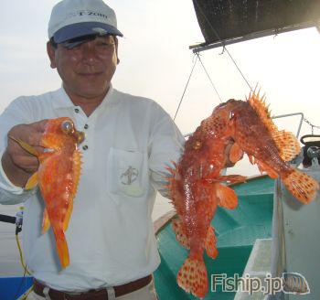 7月31日のオコゼ釣り 高知県のオニオコゼの船釣り情報