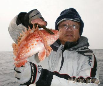 1月28日のオニオコゼ釣り 高知県の船釣り情報