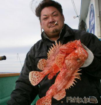 2月10日のオニオコゼ釣り 高知県の船釣り情報
