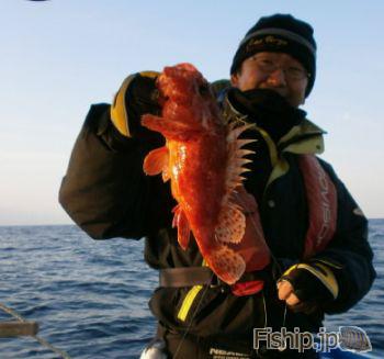 1月29日の鬼オコゼ釣り 高知県のオニオコゼの船釣り情報