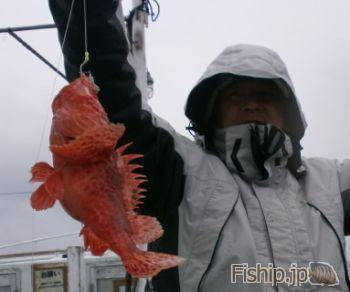 3月9日のオコゼ釣り 高知県のオニオコゼの船釣り情報