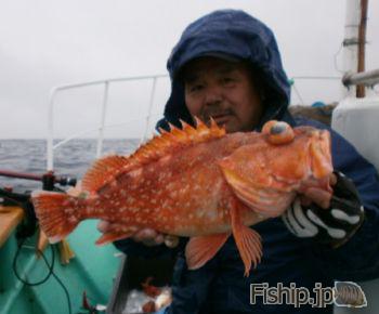 2月14日のオニオコゼ釣り 高知県の船釣り情報